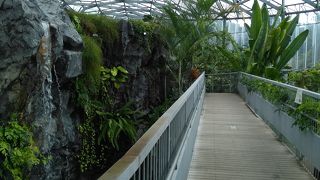 意外と良かった温室！