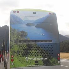 こんなデザインの観光バスで日帰りツアーを楽しみました。