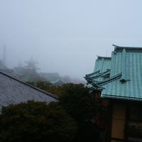 フォレスト館からの眺望です