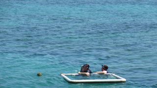 とにかくサンゴ礁の海が美しい！