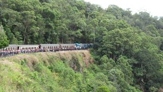 熱帯雨林の中をゆっくり走る列車　