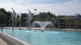 公共の広いプール