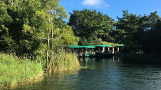 行ったことがないなら是非行って！