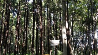 自然豊かな森の中の公園