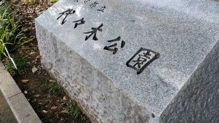 都会のオアシス