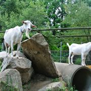 家族で楽しめる観光農園