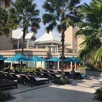 中庭のようなところ。プールがある。