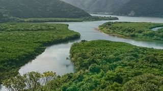 展望台から見てみましょう
