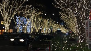 歩いて楽しむイルミネーション