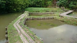 泥も普通の泥ではない