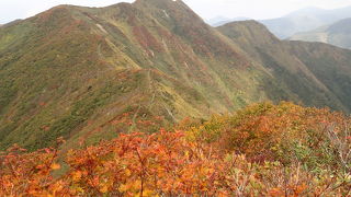 火打岳(親倉見口)