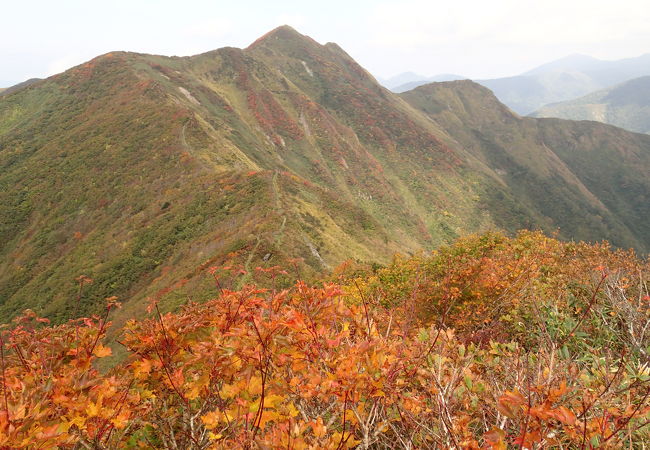 火打岳(親倉見口)