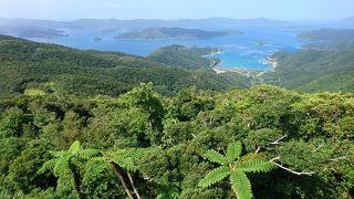 この奄美旅、最高の景色はココでした！