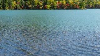 クルマの運転にはくれぐれもご注意を