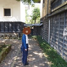 栗の間伐材が敷き詰められているので、歩きやすいです。