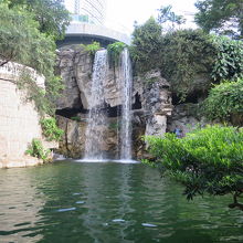 公園の滝