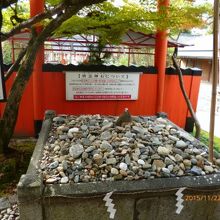 面白い願掛けの風習が見れますよ。