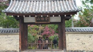 京都　「鹿王院」　嵐山方面なら一度お立寄りをおススメします。