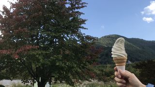 生乳ソフトクリームが美味！