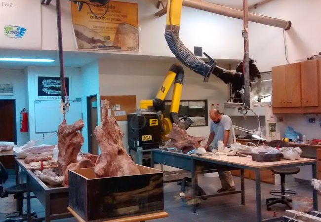 古生物博物館エジディオ フェルグリオ