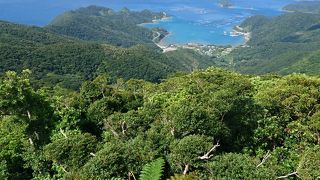 奄美の海も山もとても美しかった！