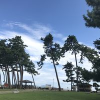 近くを気持ちよく散歩できます