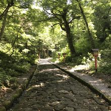 ジブリ感たっぷり参道