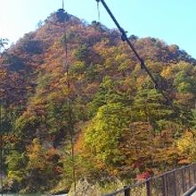 関川の紅葉