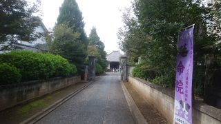 道路の方からまっすぐに伸びる参道