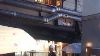 ホルモンが新鮮