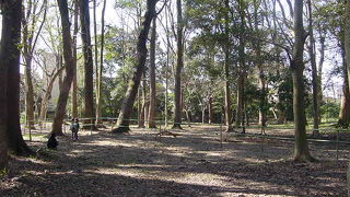 緑豊かな一帯です