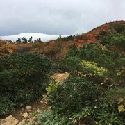 安達太良山は紅葉