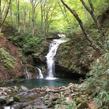 柱状節理の岩もあります