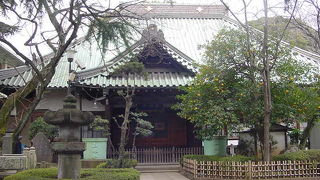 千代の富士像があります