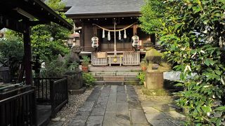 大きな狛犬が鎮座していました