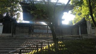 落ち着いた雰囲気