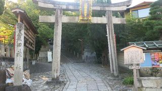 青蓮院すぐ近く