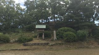 マイナースポット