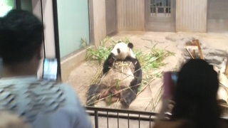 パンダなど人気の動物はかなりの混雑でした