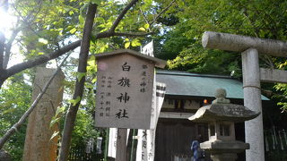 頼朝のパワーを感じるね。