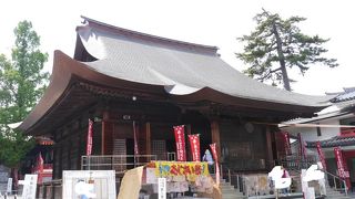 ６月はアジサイが見頃でした。