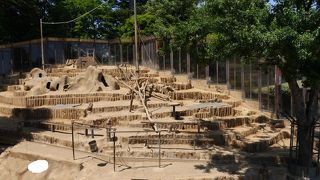 高尾山登山の途中に立ち寄った