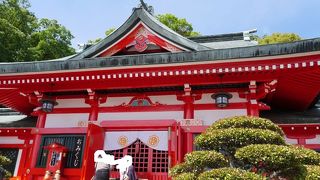 フジの花と眺望がよかった。