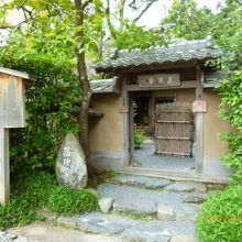 枯れた風情を理解するにはまだ若すぎるようです。