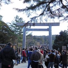 １１時２０分頃