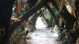 とてもパワーみなぎる場所