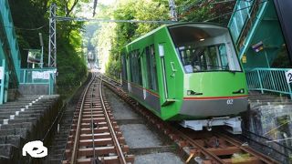 登山もよし、参拝もよし、豆腐もよし