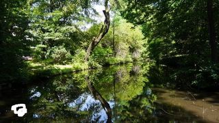 二層式の植物園、自然環境豊か
