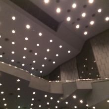 天井はとても高い。