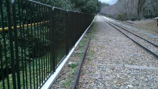 南禅寺から線路跡を散歩